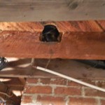 Deficiency: Notched joist. This effectively weakens the floor joist and may cause settlement.