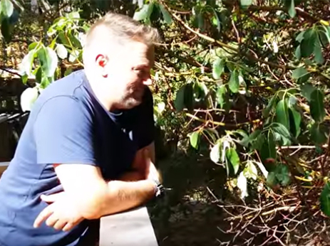 Home Inspector Reviews